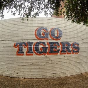 Meet your Posher, Cassie